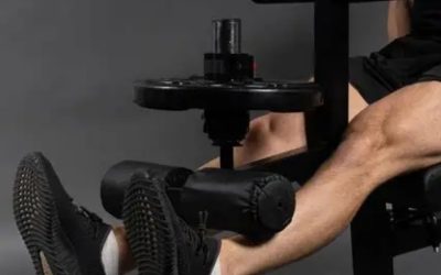 Best Weight Bench With Leg Extension and Leg Curl: 6 Picks