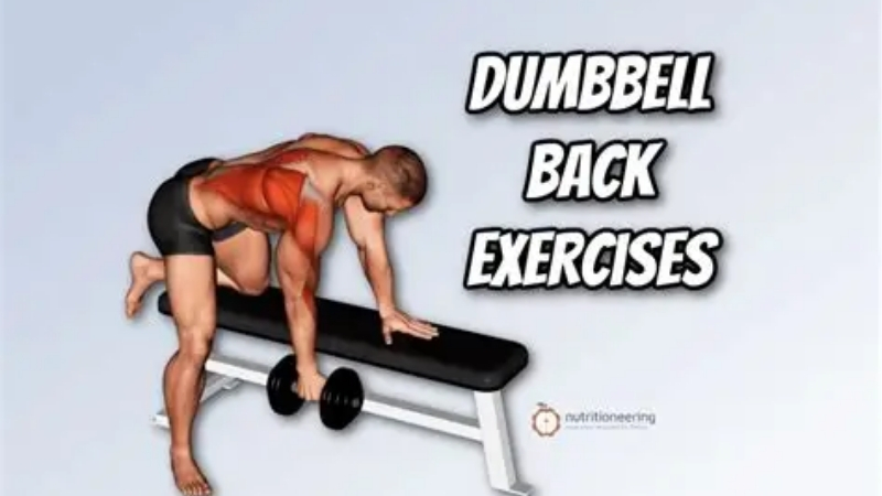 How to Choose Equipment for Lat Training With Dumbbells