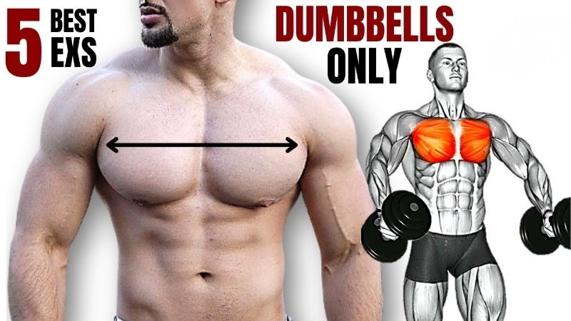 How to Choose Kit for the Best Chest Workouts at Home With Dumbbells