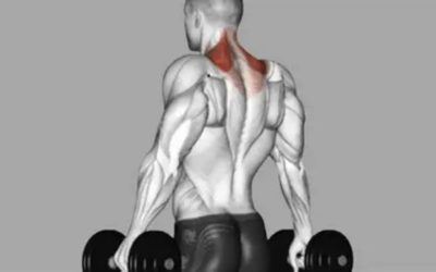 8 Best Trap Exercises With Dumbbells: Kit Picks for Home Gyms