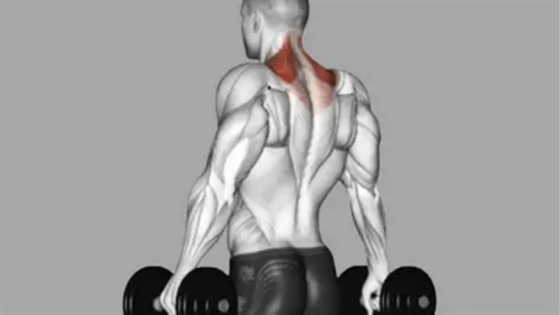 How to Choose Kit for the Best Trap Exercises With Dumbbells