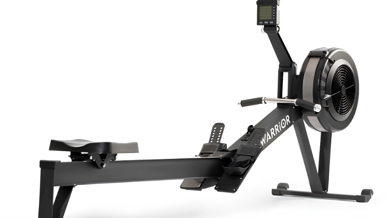 5 Best Starter Rowing Machines: Top Beginner-Friendly Picks