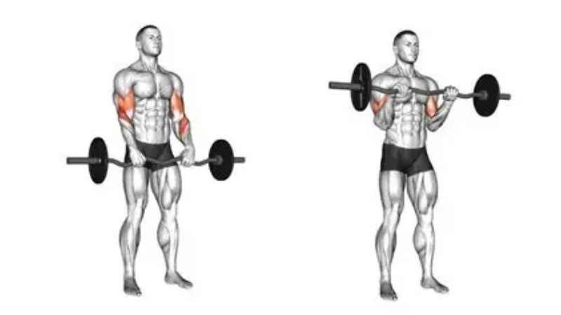 How to Choose the Kit for the Best Workouts With Barbell