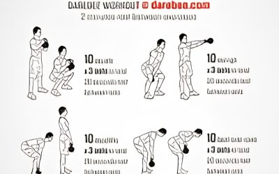 8 Best Kettlebell Workout Programs: A 12-Week Buying Guide