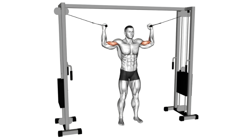 How to Match a Machine to Your Exercises