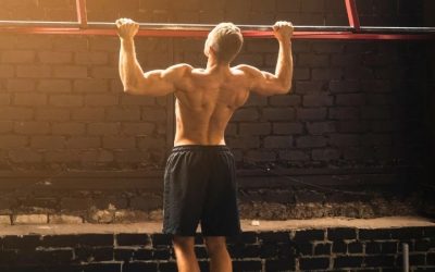 8 Best Exercises Pull Up Bars: Every Muscle Group Covered 2026