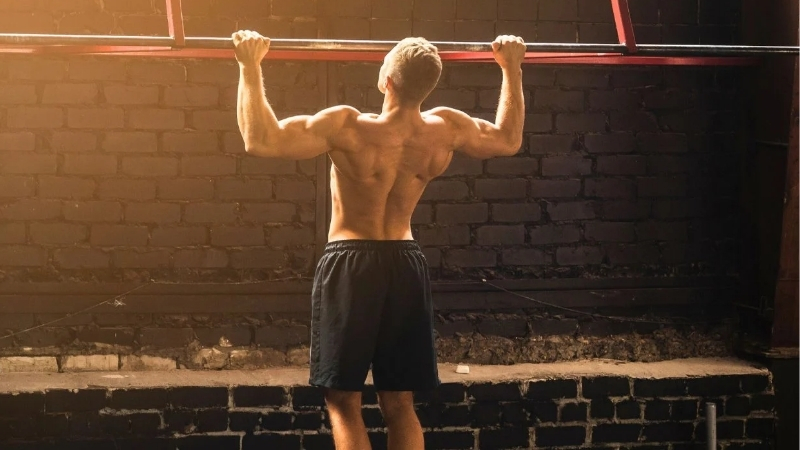 The Best Exercises Pull Up Bar Movements by Muscle Group