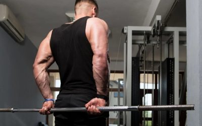 8 Best Barbell Bars: Knurling, Whip and Sleeve Spin Compared