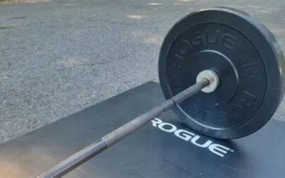 8 Best Barbells for Women: 15kg Bars With 25mm Grip Compared