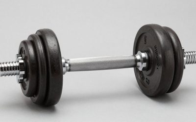 Adjustable Dumbbell Length at Maximum Weight Size Guide With Measurements (2026)