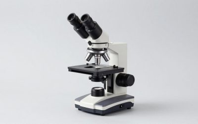 Best Digital Stereo Microscopes for Soldering