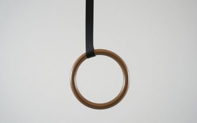 Best Gymnastic Rings for Strength Training